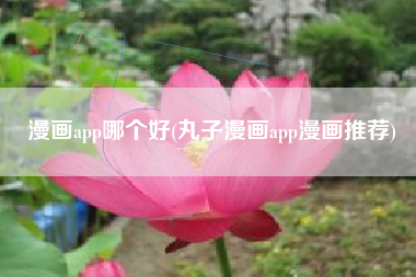 漫画app哪个好(丸子漫画app漫画推荐)