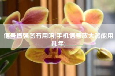 信号增强器有用吗(手机信号放大器能用几年)