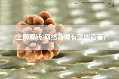 上网赚钱(网络赌博有哪些危害)