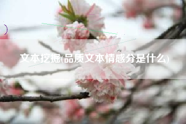 文本挖掘(品质文本情感分是什么)