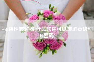 wifi快速破解器(什么软件可以破解高级WIFI密码)