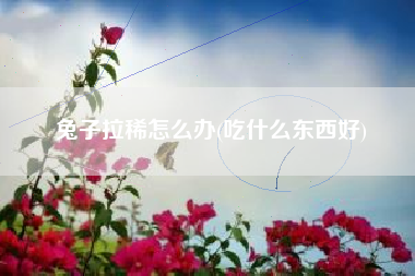 详细阅读:兔子拉稀怎么办(吃什么东西好) 兔子拉稀怎么办(吃什么东西好)