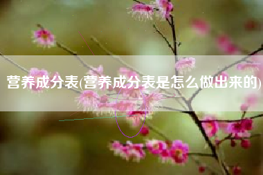 营养成分表(营养成分表是怎么做出来的)