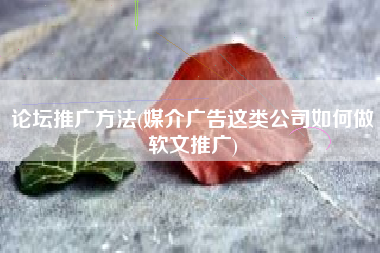 论坛推广方法(媒介广告这类公司如何做软文推广)