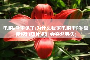电脑e盘不见了(为什么我家电脑里的E盘视频和图片资料会突然丢失)