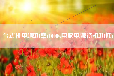 台式机电源功率(1000w电脑电源待机功耗)