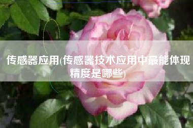 传感器应用(传感器技术应用中最能体现精度是哪些)