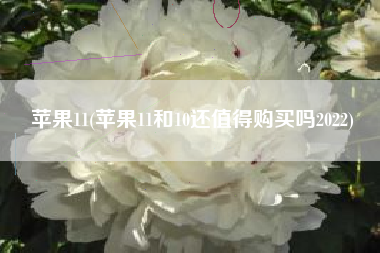 苹果11(苹果11和10还值得购买吗2022)