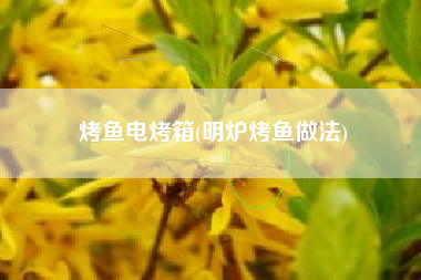 烤鱼电烤箱(明炉烤鱼做法)