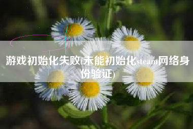 游戏初始化失败(未能初始化steam网络身份验证)