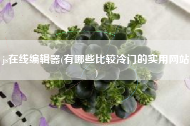 js在线编辑器(有哪些比较冷门的实用网站)