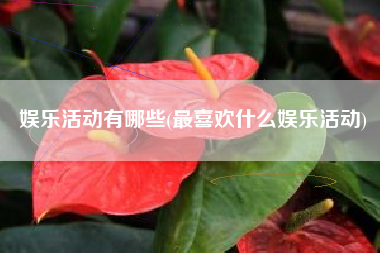 娱乐活动有哪些(最喜欢什么娱乐活动)