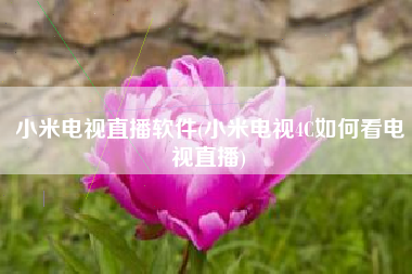 小米电视直播软件(小米电视4C如何看电视直播)