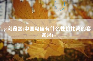 go浏览器(中国电信有什么性价比高的套餐吗)