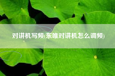 对讲机写频(东唯对讲机怎么调频)