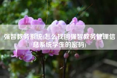 强智教务系统(怎么找回强智教务管理信息系统学生的密码)