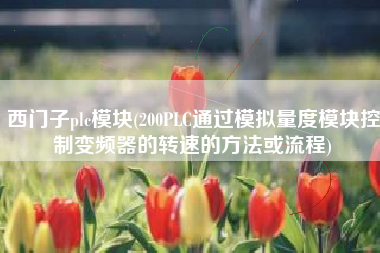 西门子plc模块(200PLC通过模拟量度模块控制变频器的转速的方法或流程)