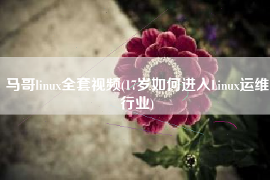 马哥linux全套视频(17岁如何进入Linux运维行业)