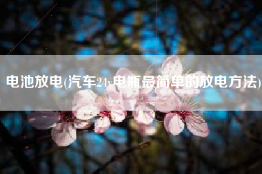 电池放电(汽车24v电瓶最简单的放电方法)