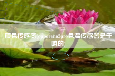 颜色传感器(opporeno5pro色温传感器是干嘛的)