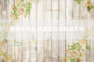 磁敏传感器(传感器松动影响大吗)