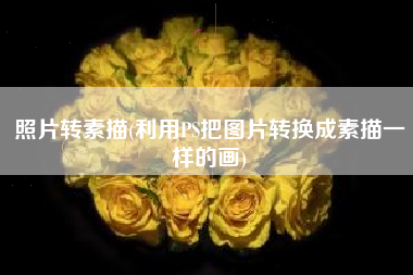 照片转素描(利用PS把图片转换成素描一样的画)