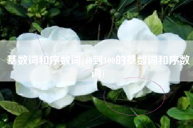 基数词和序数词(40到100的基数词和序数词)