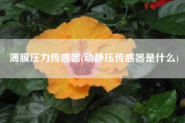 薄膜压力传感器(动静压传感器是什么)