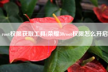 root权限获取工具(荣耀30root权限怎么开启)