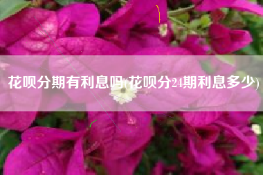 花呗分期有利息吗(花呗分24期利息多少)