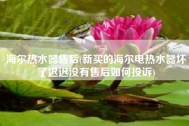 海尔热水器售后(新买的海尔电热水器坏了迟迟没有售后如何投诉)