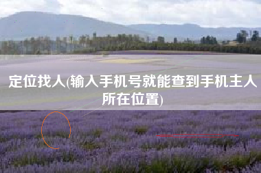 定位找人(输入手机号就能查到手机主人所在位置)