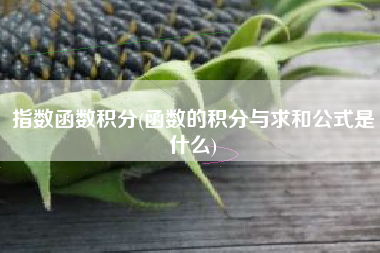 指数函数积分(函数的积分与求和公式是什么)