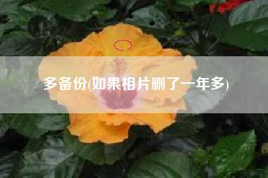 多备份(如果相片删了一年多)