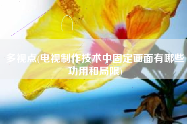 多视点(电视制作技术中固定画面有哪些功用和局限)