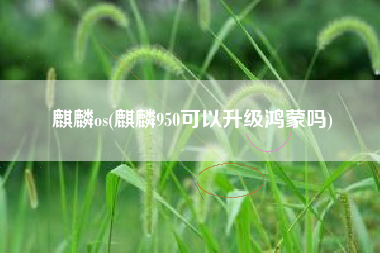 麒麟os(麒麟950可以升级鸿蒙吗)