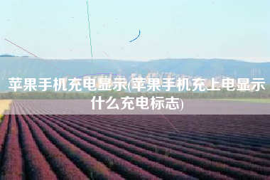 苹果手机充电显示(苹果手机充上电显示什么充电标志)