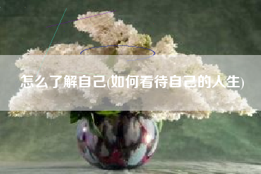 怎么了解自己(如何看待自己的人生)