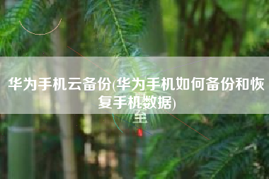 华为手机云备份(华为手机如何备份和恢复手机数据)