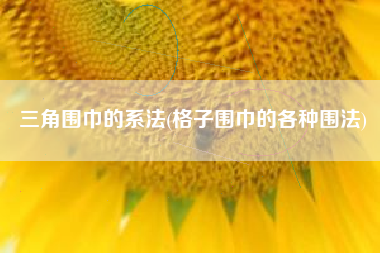 三角围巾的系法(格子围巾的各种围法)