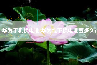 华为手机换电池(华为线下换电池要多久)
