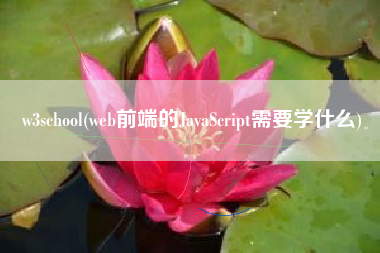 w3school(web前端的JavaScript需要学什么)