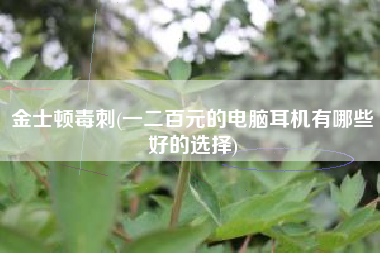 金士顿毒刺(一二百元的电脑耳机有哪些好的选择)