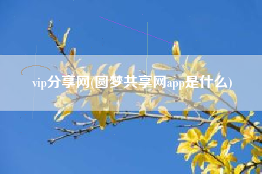 vip分享网(圆梦共享网app是什么)