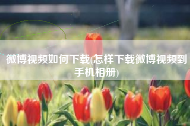 微博视频如何下载(怎样下载微博视频到手机相册)