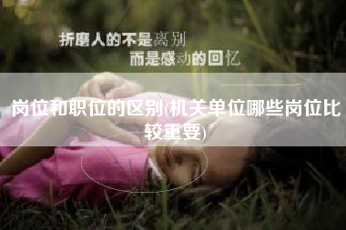 岗位和职位的区别(机关单位哪些岗位比较重要)