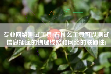 专业网络测试工具(有什么工具可以测试信息插座的物理线路和网络的联通性)