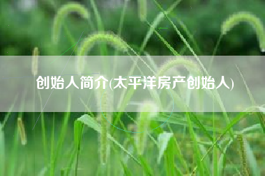 创始人简介(太平洋房产创始人)