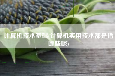 计算机技术基础(计算机实用技术都是指哪些呢)