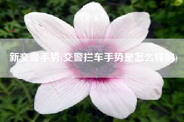 新交警手势(交警拦车手势是怎么样的)